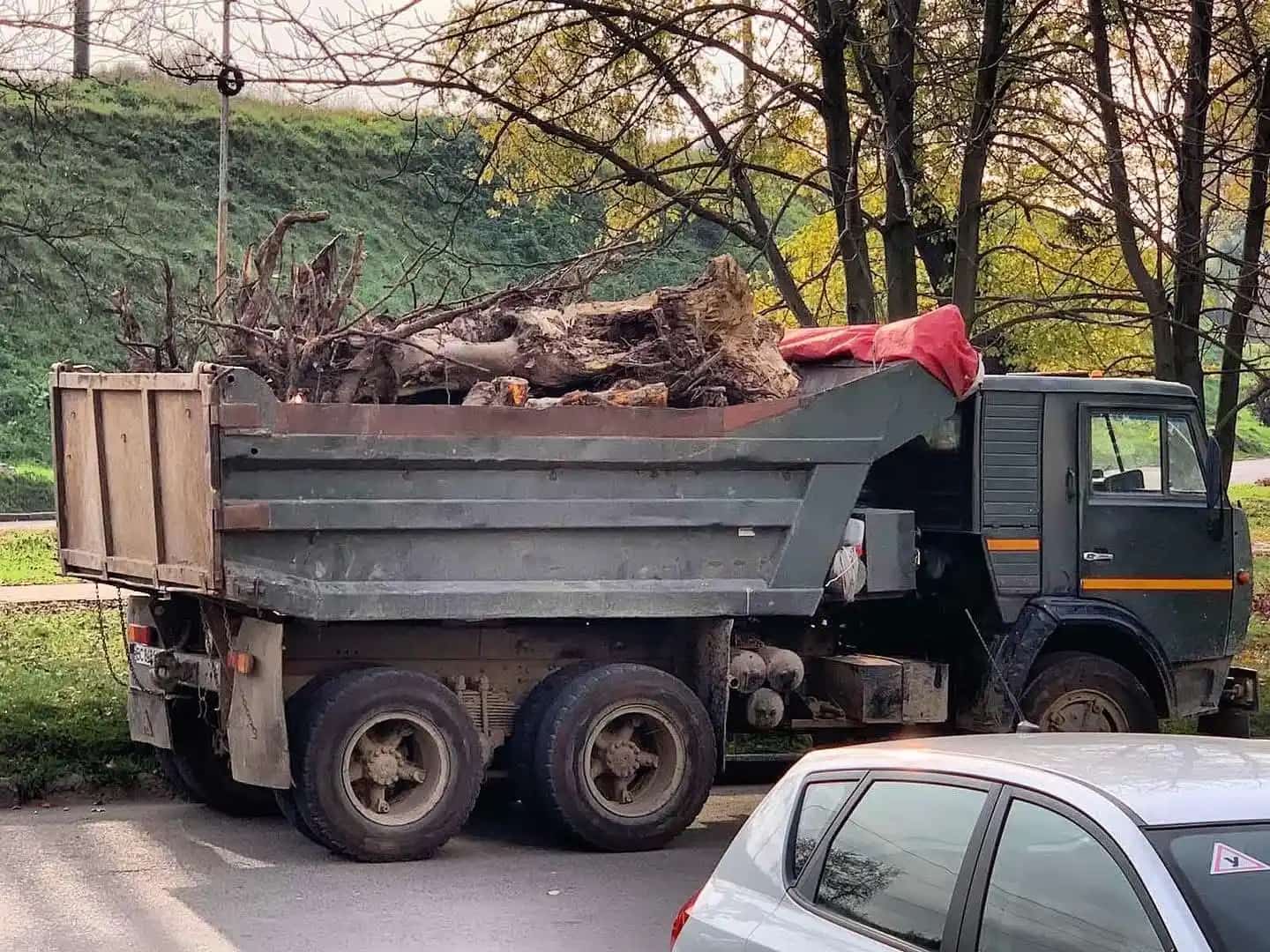 Наші роботи — фото 11
